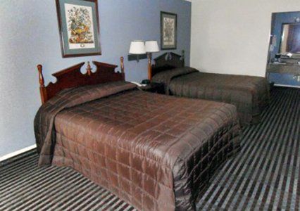Loyalty Inn Gainesville Δωμάτιο φωτογραφία